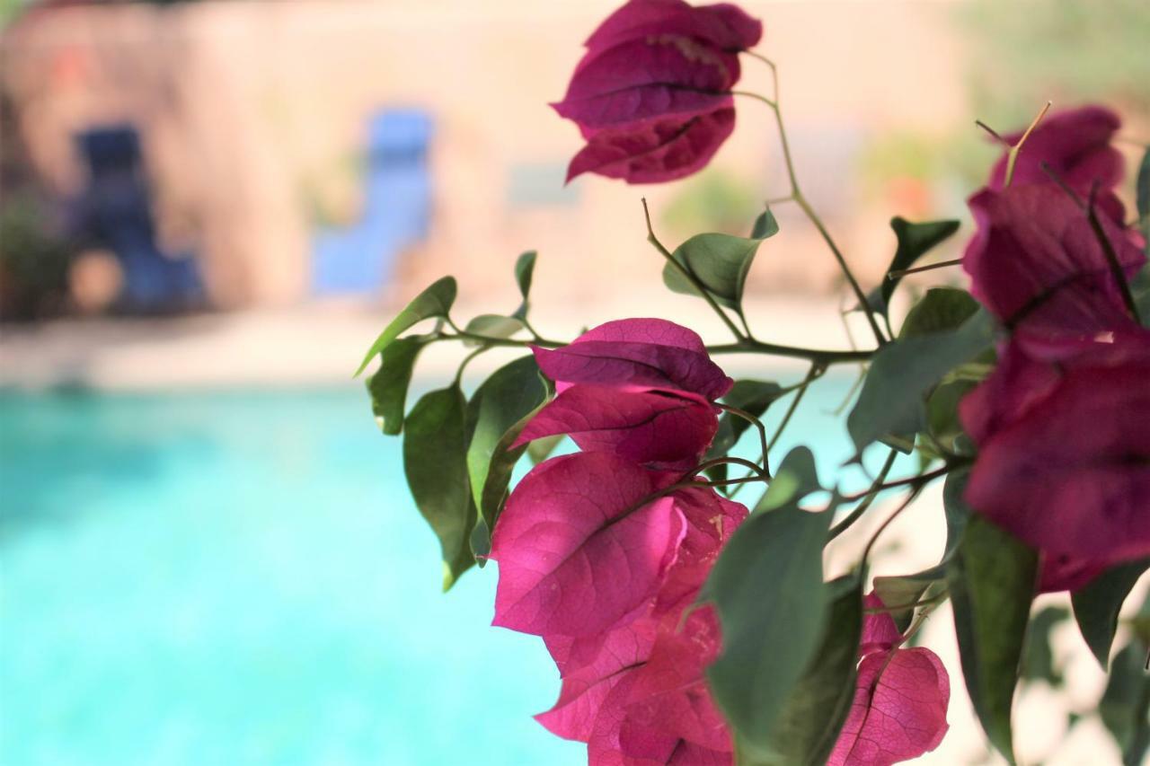 Adobe Rose Inn Tucson Exterior foto